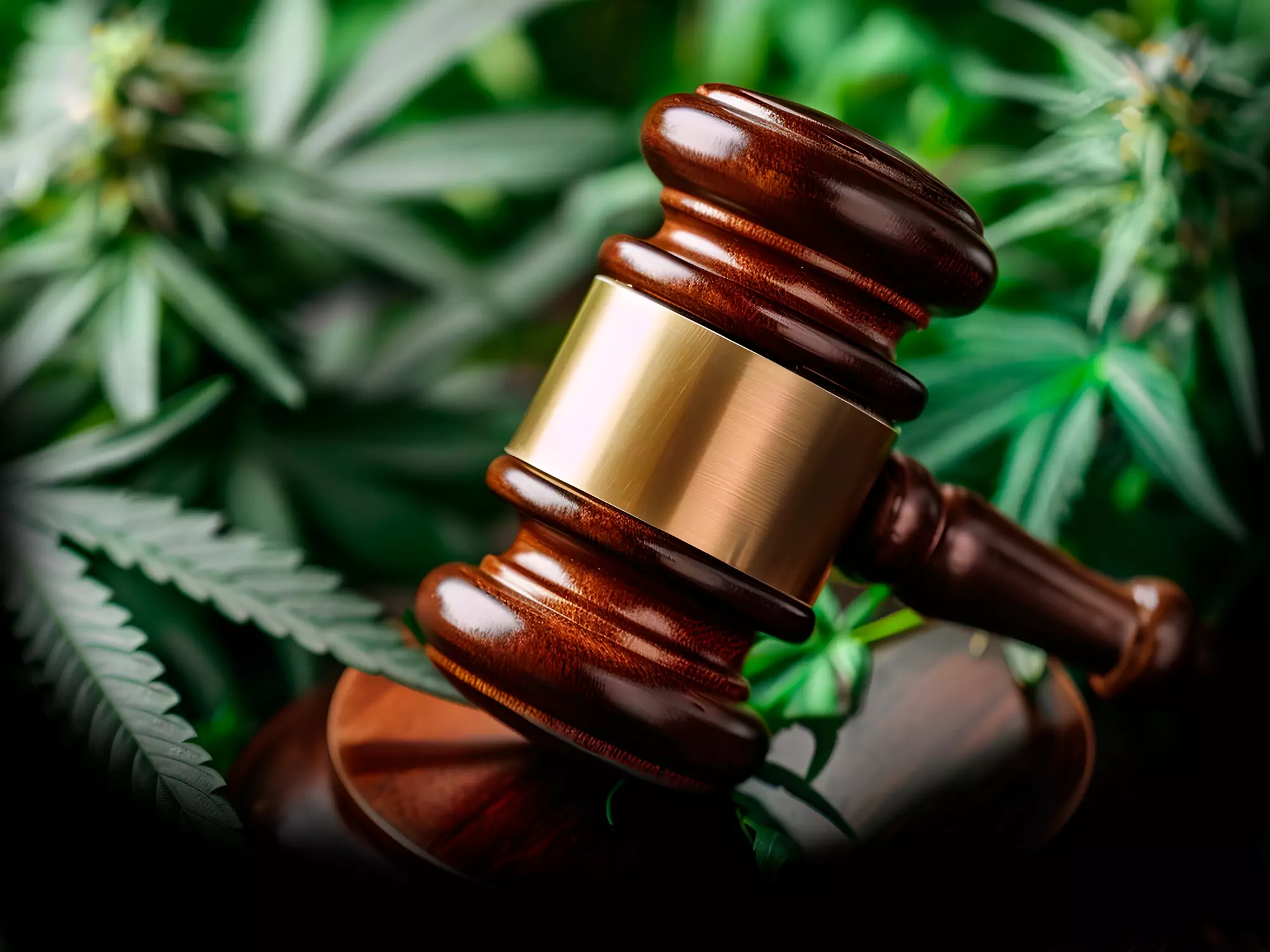 Situación legal