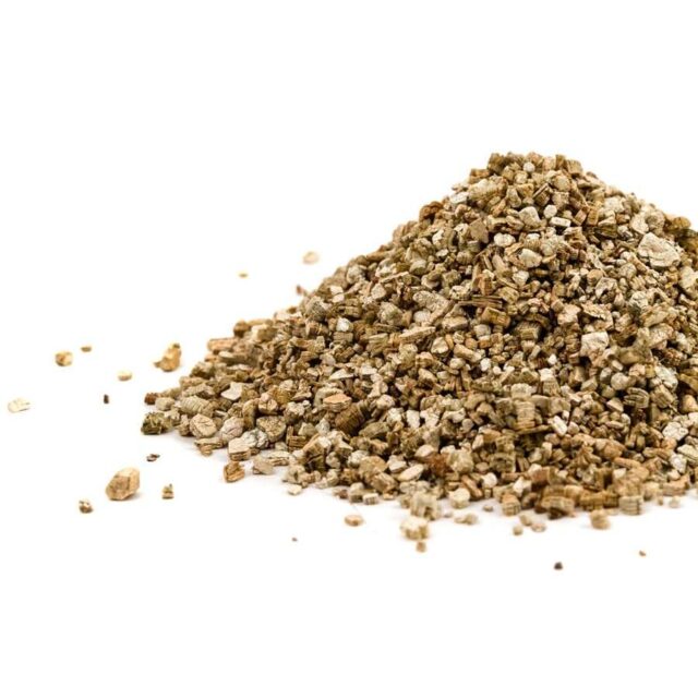 Vermiculita