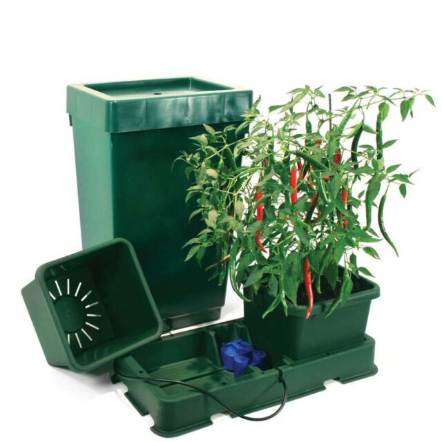 Easy2Grow kit