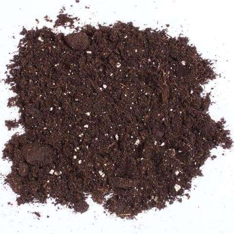 Canna Terra Professional - Sustrato para Cultivos de Alta Calidad - Imagen 2