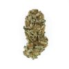 Royal Cookies feminizada de Royal Queen Seeds