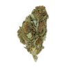 Chocolate Haze feminizada de Royal Queen Seeds