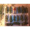 Acid feminizada de Paradise Seeds