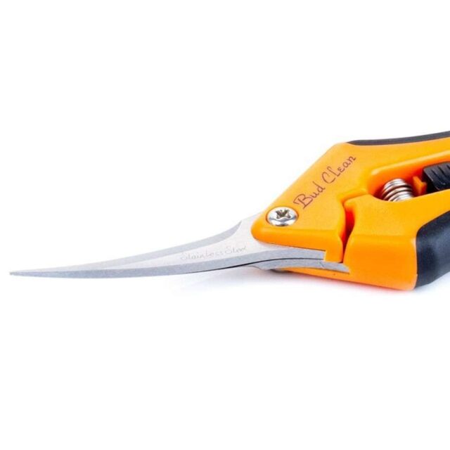 Tijeras de precisión y punta curva Bud Clean
