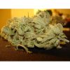 Ice Cream feminizada de Paradise Seeds