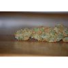 Vertigo Auto de Paradise Seeds