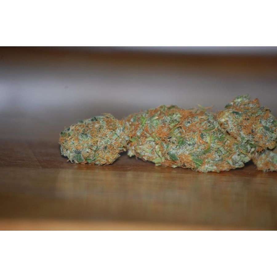 Vertigo Auto de Paradise Seeds