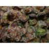 G14 Auto de FastBuds