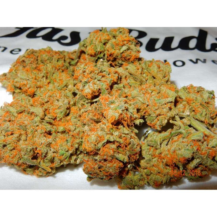 Mexican Airlines Auto de FastBuds