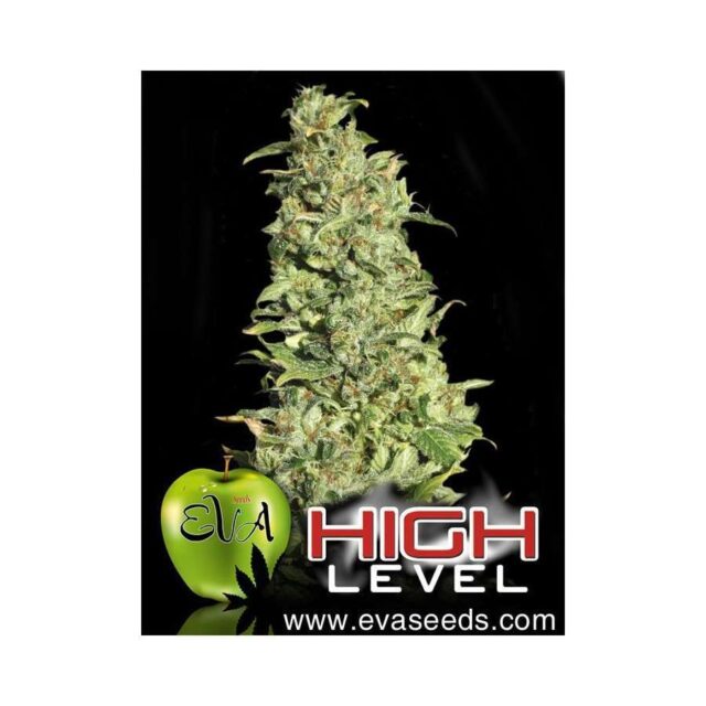 High Level feminizada de Eva Seeds