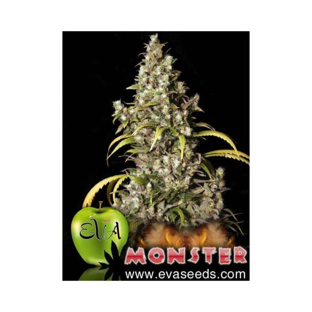 Monster feminizada de Eva Seeds