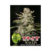 TNT Kush feminizada de Eva Seeds