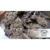 Frisian Dew feminizada de Dutch Passion