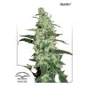 Skunk #11 feminizada de Dutch Passion