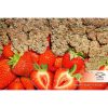 Strawberry Cough feminizada de Dutch Passion