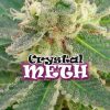 Crystal M.E.T.H. feminizada de Dr. Underground