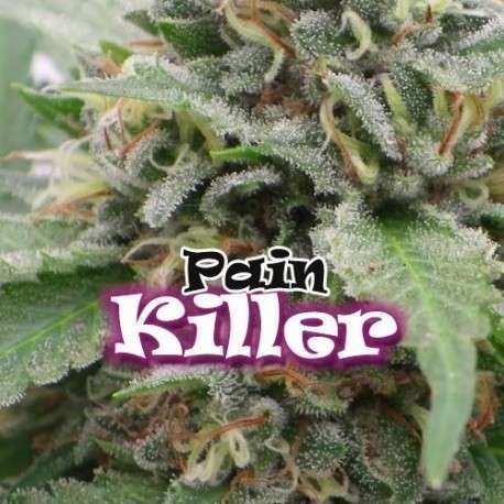 Painkiller feminizada de Dr. Underground