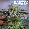 Sugar Black Early Version feminizada de Delicious Seeds