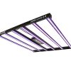 Lumatek ZEUS 600W 2.6 - Iluminación LED Eficiente