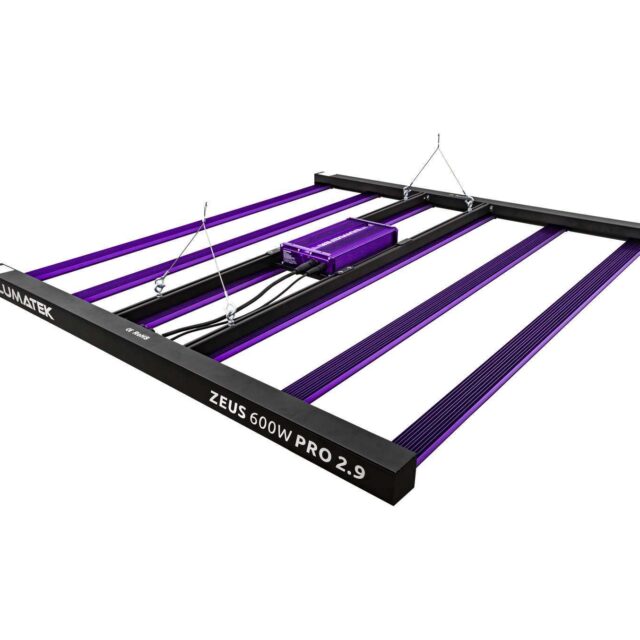 Lumatek ZEUS 600W Pro 2.9 - Luz LED de Máxima Potencia
