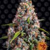 Strawberry Cheesecake Auto de Barney's Farm