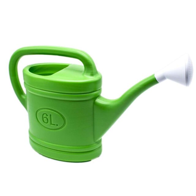 Regadera 6L