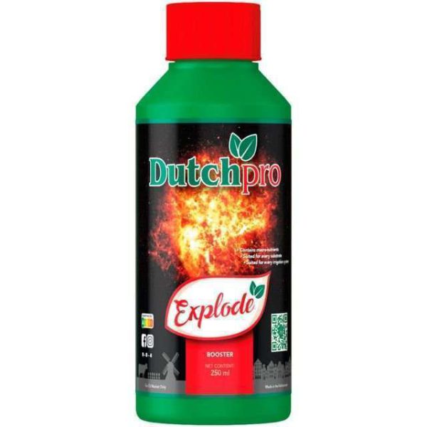 Explode de Dutch Pro
