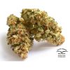 Auto Colorado Cookies de Dutch Passion