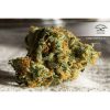 Auto Night Queen de Dutch Passion