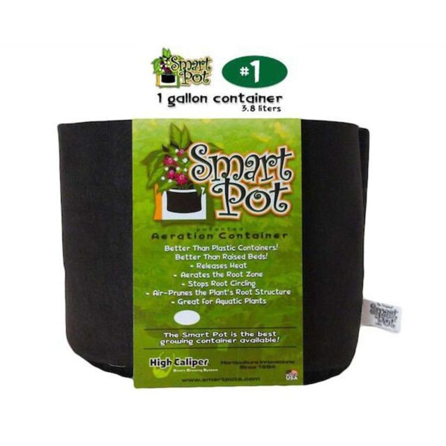 Maceta Textil Smart Pot