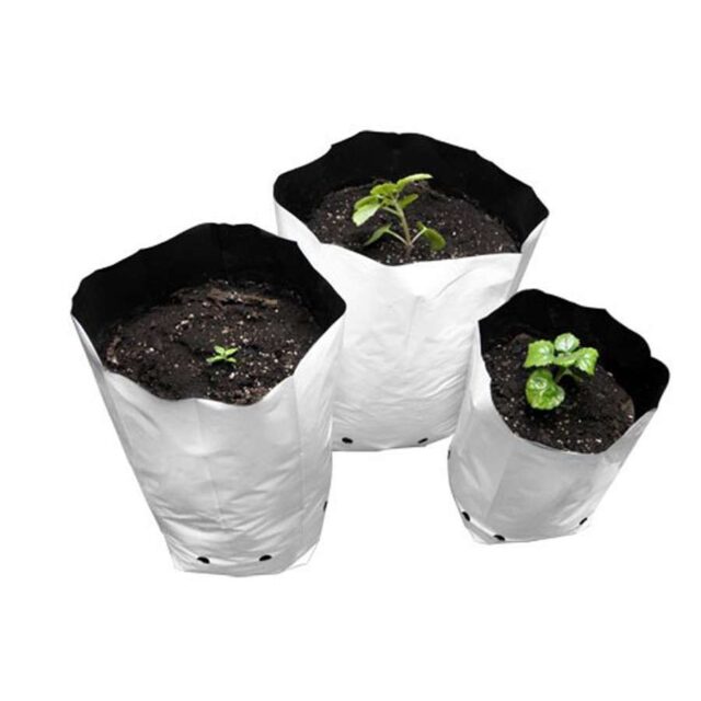 Bolsas de Cultivo Blancas
