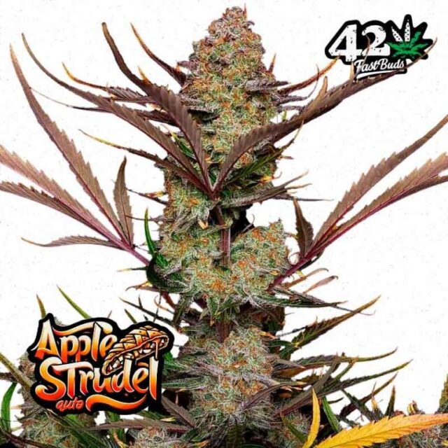 Apple Strudel Auto de FastBuds