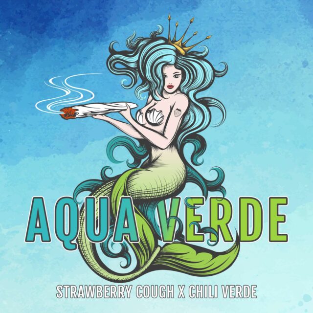 Aqua Verde feminizada de Elev8 Seeds
