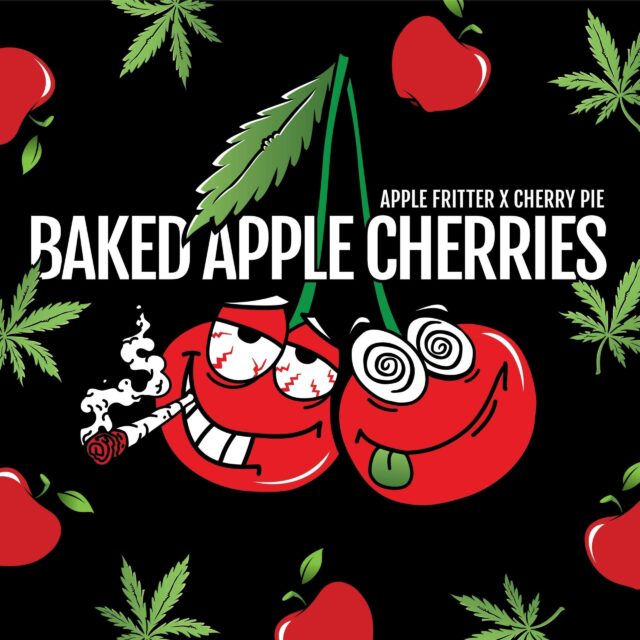 Baked Apple Cherries feminizada de Elev8 Seeds