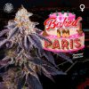Baked in Paris feminizada de Perfect Tree