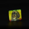 Bolsa de aluminio metalizado anti-olor - Rasta Dog - 70x60mm