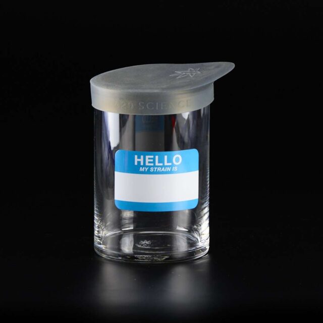 Bote de cristal con tapa de goma - Wide-Mouth - Large