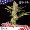 Buddha Wedding Cheesecake feminizada de Buddha Seeds