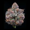 Candy Candy feminizada de Cookies Seed Bank