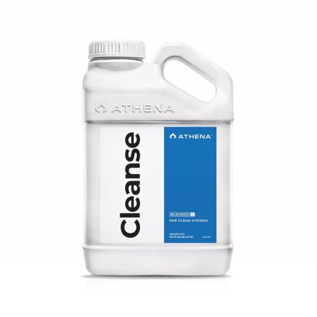 Cleanse de Athena