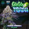 Coco Fresh feminizada de Perfect Tree