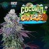 Coconut Chalice feminizada de Perfect Tree