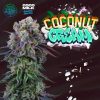 Coconut Cream feminizada de Perfect Tree