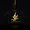 Colgante con cadena gruesa Hoja Brillante
