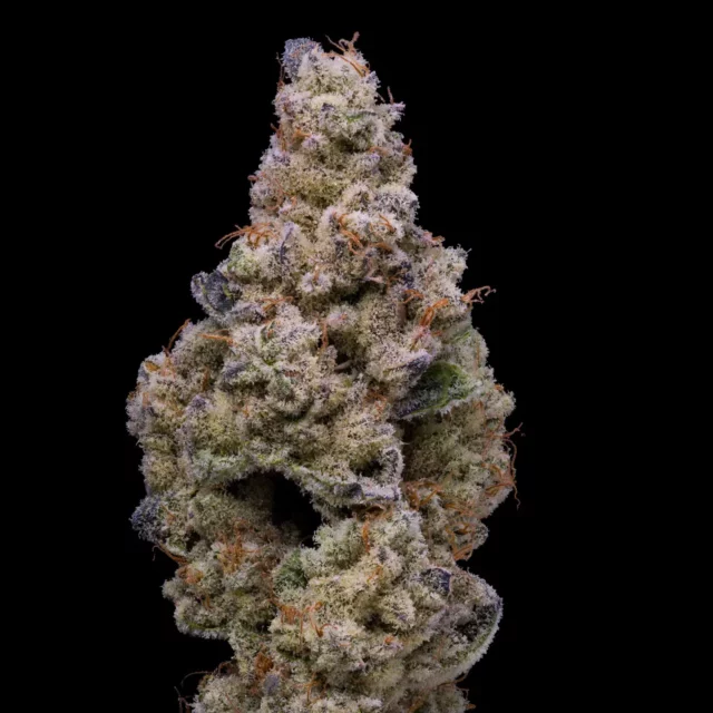 Crispy Sugar feminizada de Cookies Seed Bank