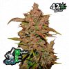 Crystal Meth Auto de FastBuds