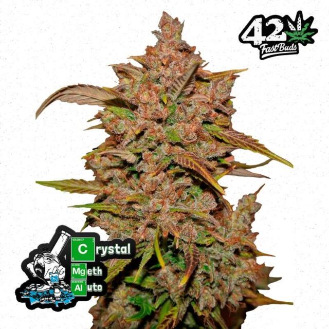 Crystal Meth Auto de FastBuds