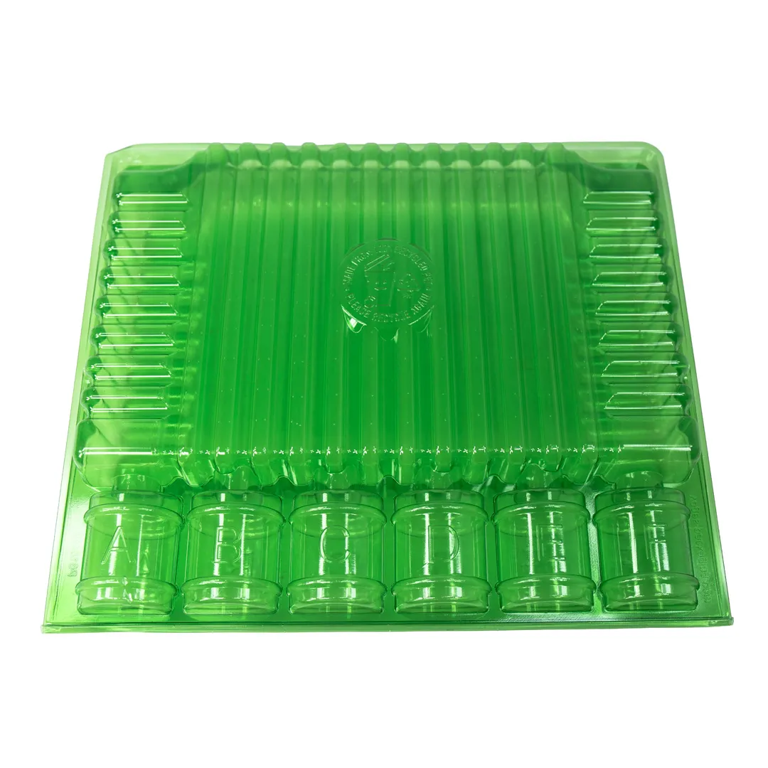 Funda de transporte para 6 esquejes