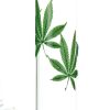 Bong cristal 35cm Thin Leafs