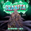 Granita feminizada de Perfect Tree